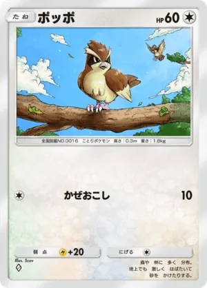 ポッポ（最強の遺伝子・◆1）