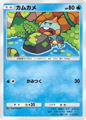 カムカメ（幻のいる島・◆1）
