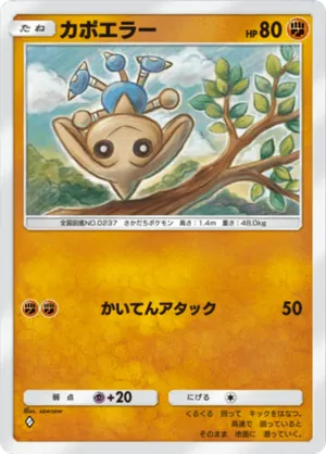 カポエラー（時空の激闘・◆1）