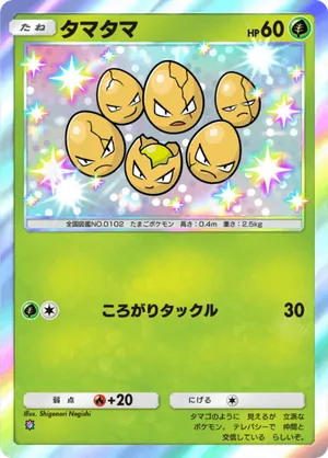 タマタマ（双天の守護者・色違い☆1）