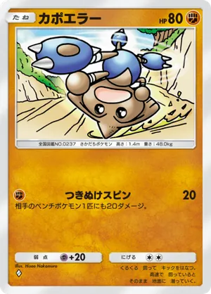 カポエラー（空と海の導き・◆1）