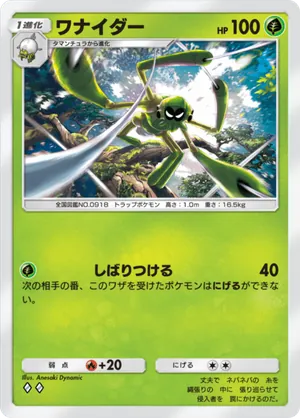 ワナイダー（パルデアワンダー・◆2）