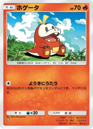 ホゲータ（パルデアワンダー・◆1）